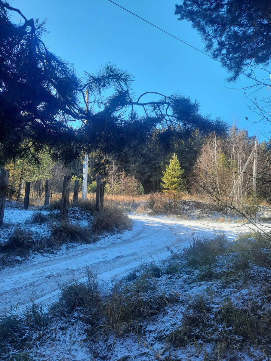 Фото автора.