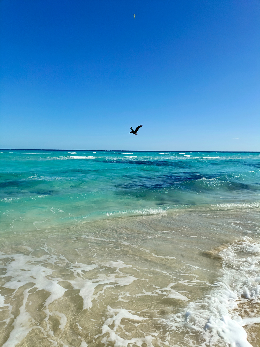 Атлантический океан