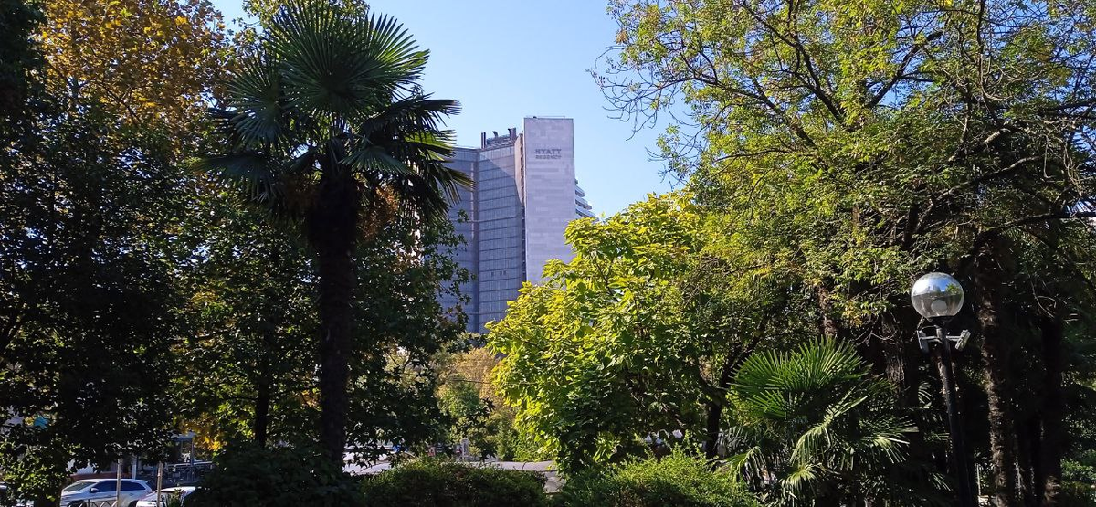 Фото автора.