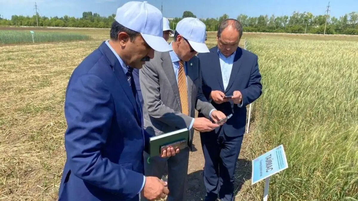 Фото:gov.kz Деньги для аграриев начнут окрашивать, чтобы они дошли до адресатов