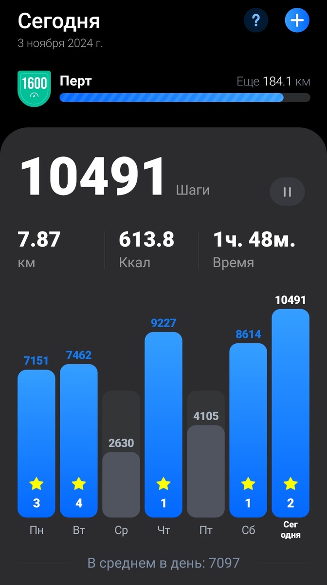Фото автора. 03.11.2024 г.