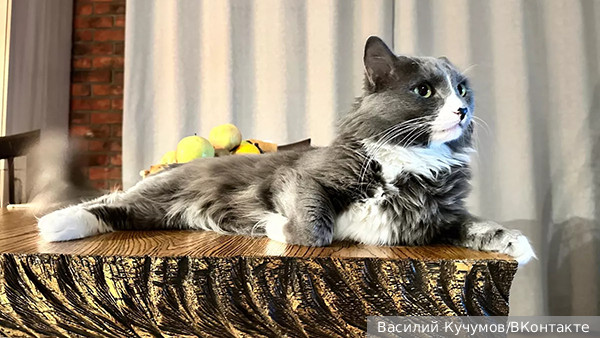     Фото: Василий Кучумов/ВКонтакте   
 Текст: Елизавета Шишкова