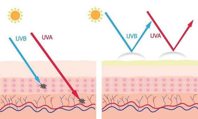 UVA-лучи. Это длинноволновое излучение, проникающее глубоко в дерму (глубокий слой кожи). Оно может вызвать преждевременное старение кожи, появление морщин и пигментных пятен. UVB-лучи. Это средневолновое излучение, которое в первую очередь воздействует на эпидермис (внешний слой кожи). UVB-лучи вызывают солнечные ожоги и играют главную роль в развитии рака кожи.