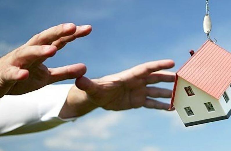 Бери – не хочу (иллюстрация из открытых источников)