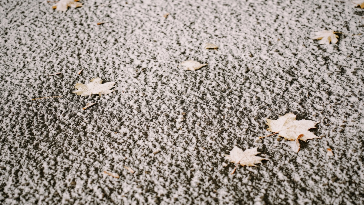 Светлана Мулыкина📷
