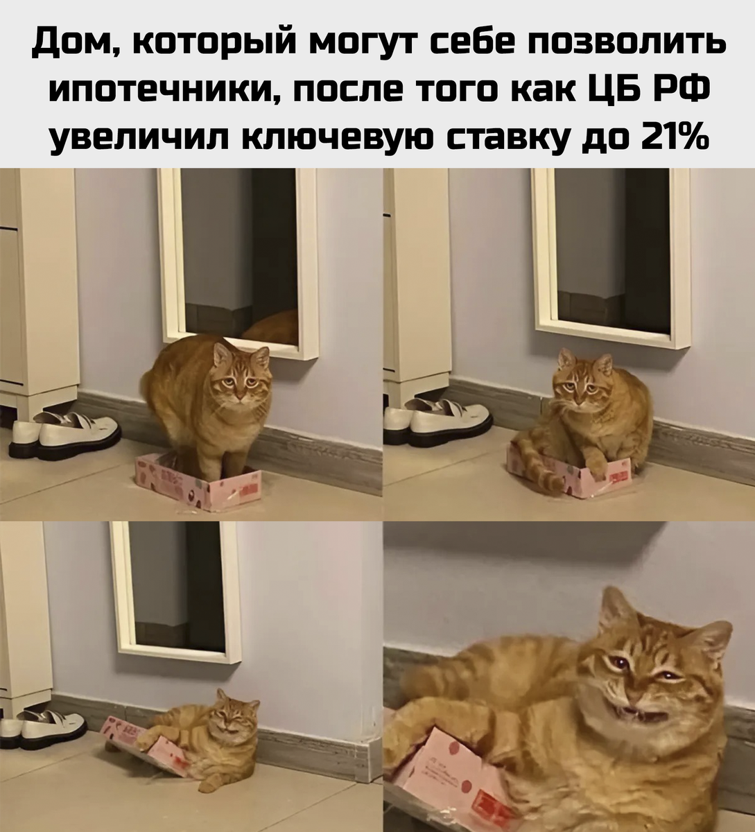 Мем на злобу дня из Интернета