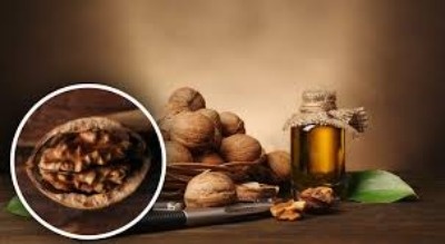 Широкое применение грецкого ореха