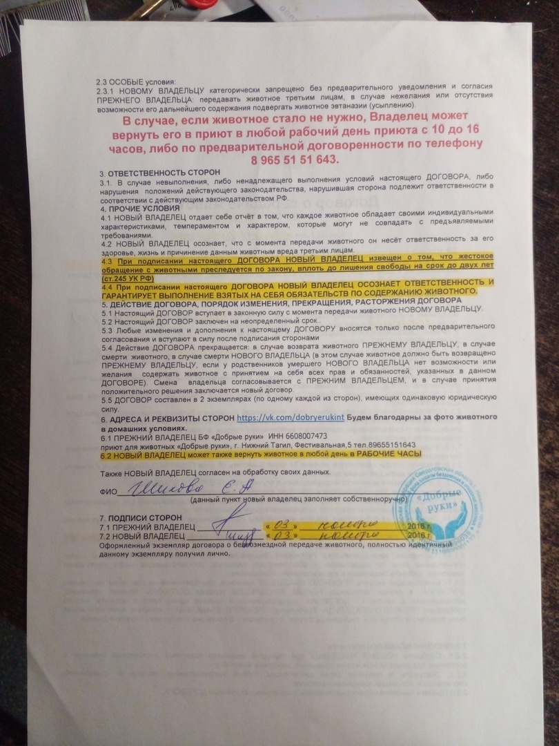 Документы из приюта. Фото автора. 