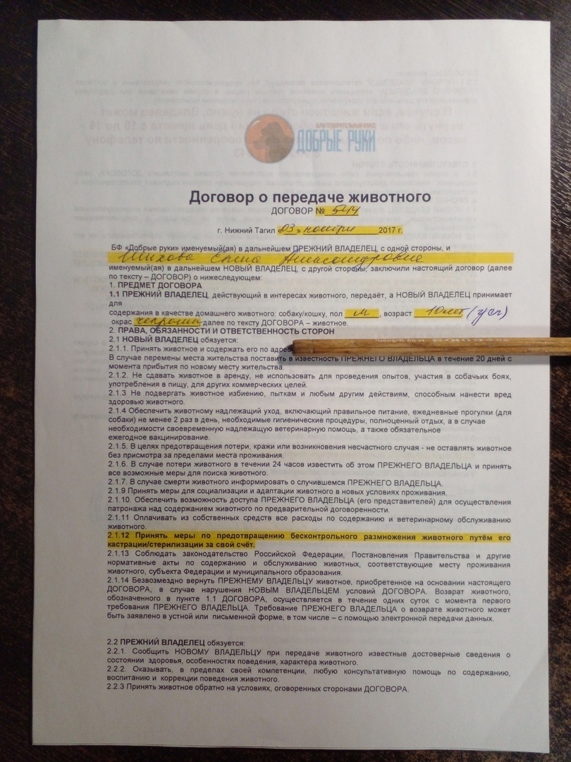 Документы из приюта. Фото автора. 