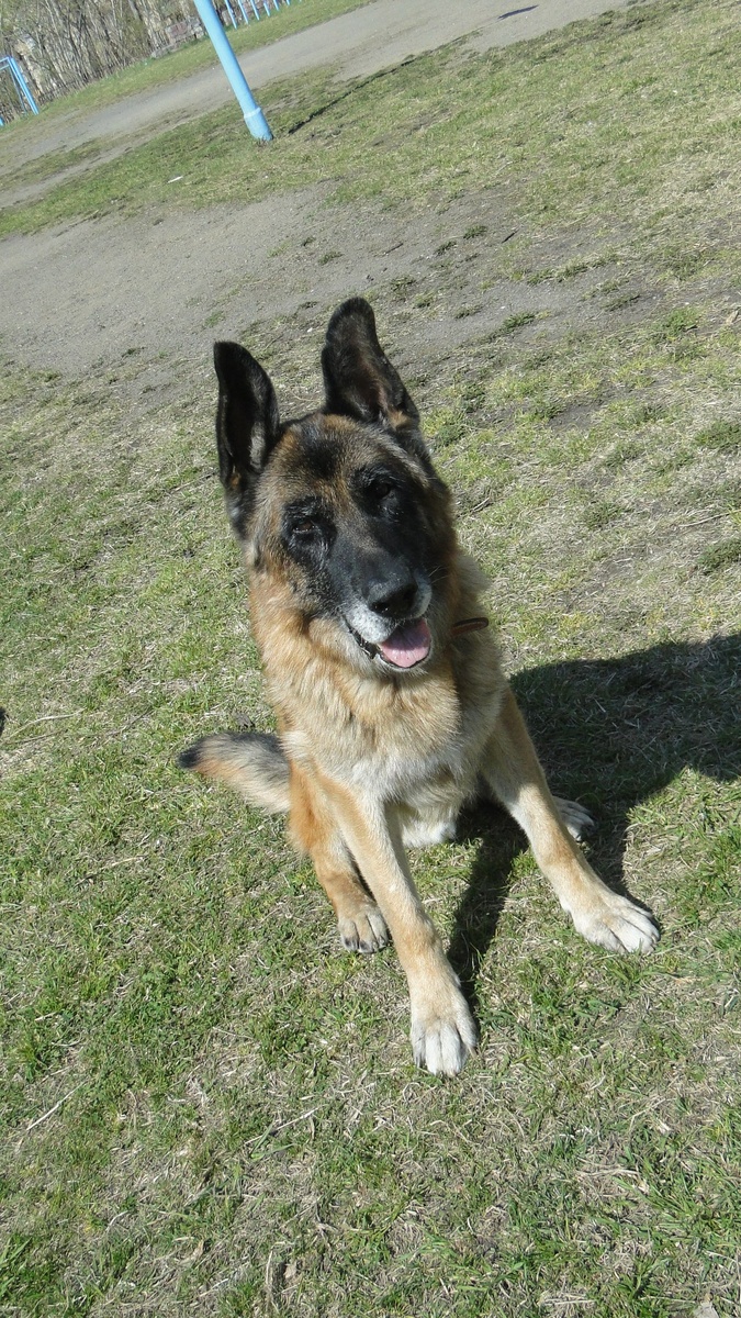 Хассо, май 2018, фото автора. 