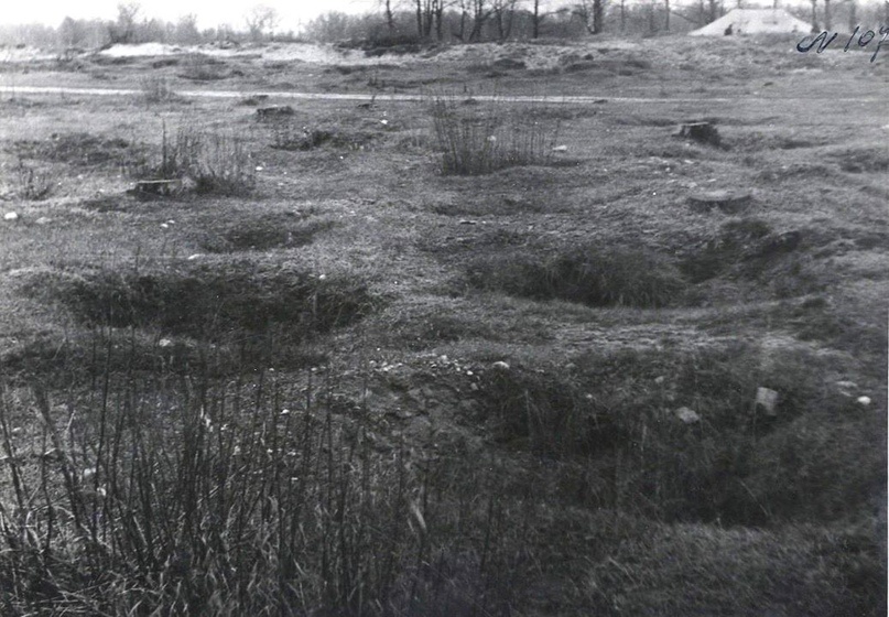 Ямы-жилища, вырытые советскими военнопленными для укрытия от непогоды. Видны пни от спиленных гитлеровцами деревьев (фото 1944 г.)
