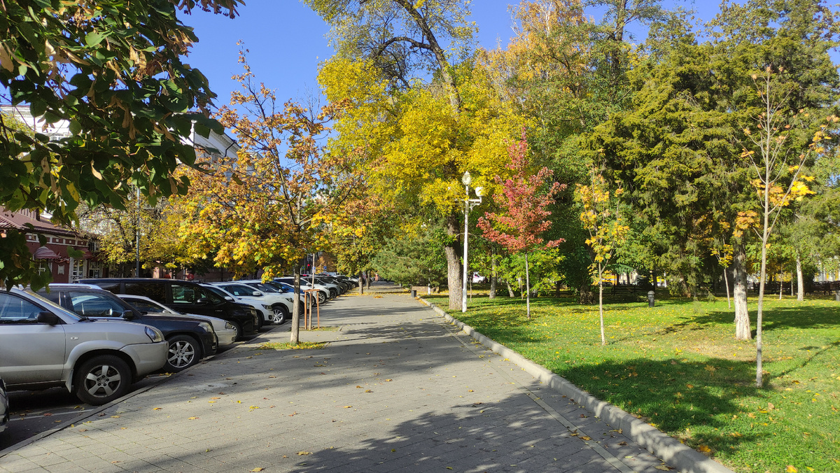 Осенние краски ноября на Кубани