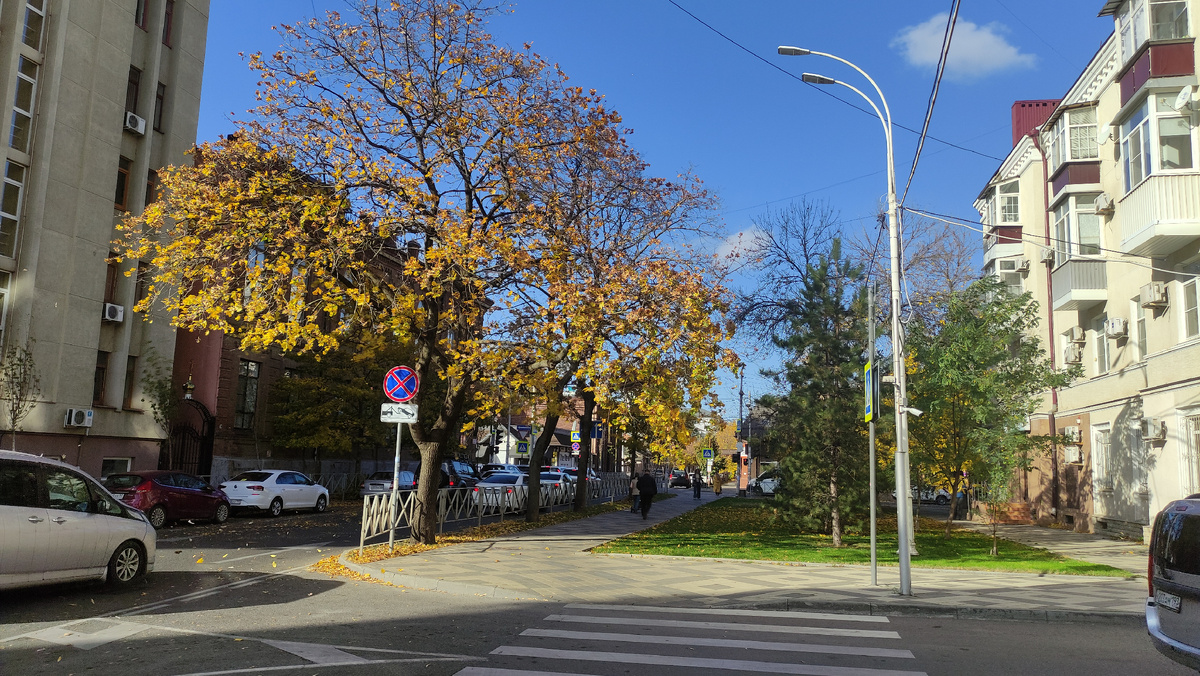 Осенние краски ноября на Кубани