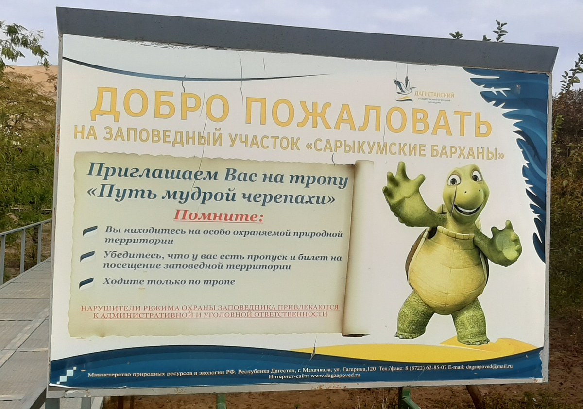 Стенд при входе на тропу к бархану 