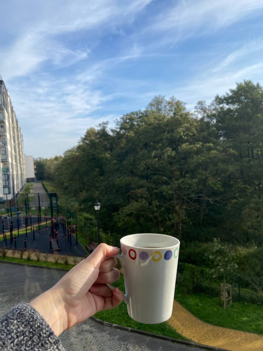 в квартире уже с видом на эти леса