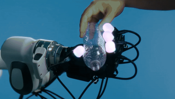     Источник: Meta*