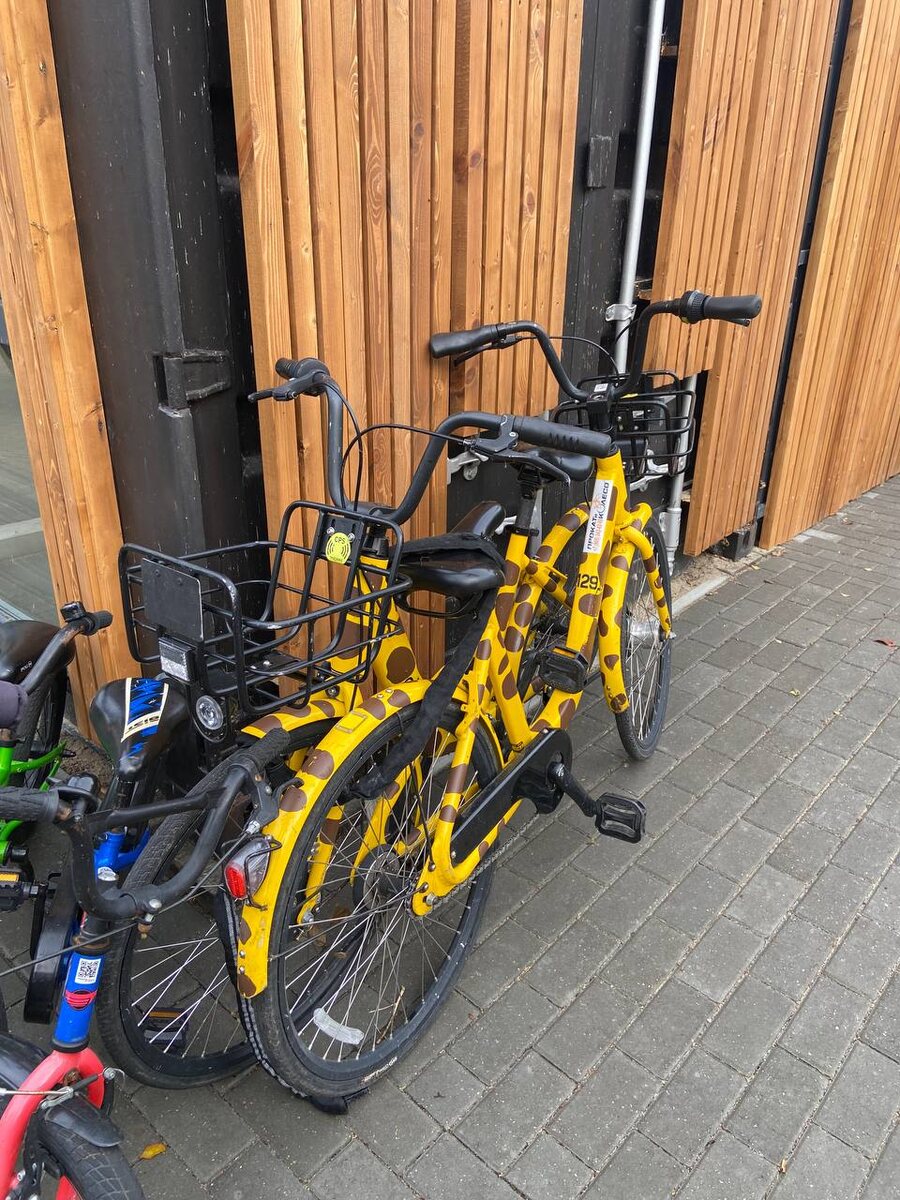 Аренда велосипеда в Зеленоградске