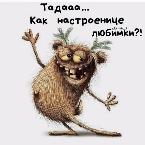 Картинка с интернета. https://ru.pinterest.com/pin/189995678024690210/