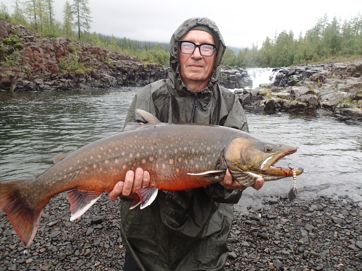 Повезло поймать крупного арктического гольца. Разумеется такого красавца отпустили обратно, это маточное стадо реки, его трогать не надо. Для еды рыбы было достаточно, ленок, хариус, сиг, щуки, окуни.