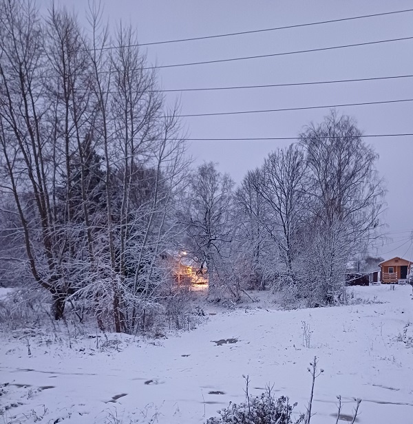 Семь часов утра сегодня. Вид из моего окна