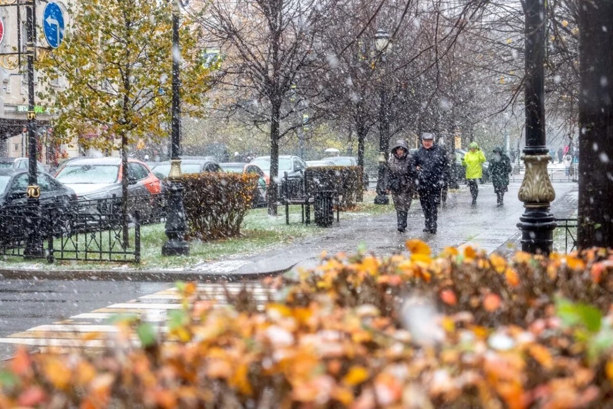    Коммунальщики Петербурга заранее обрабатывают дороги от гололеда