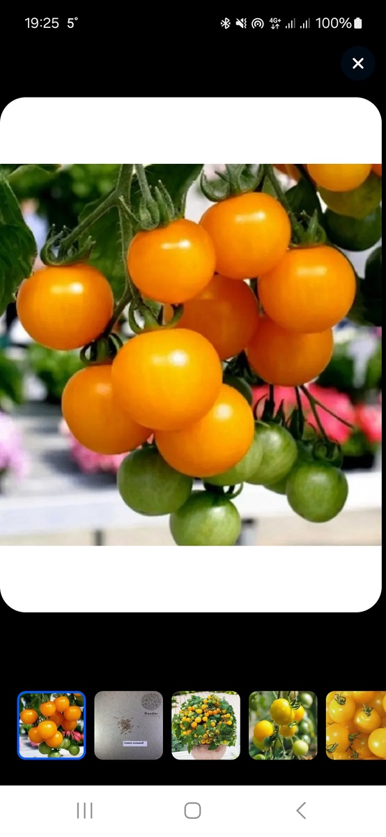 Вооот такой вот