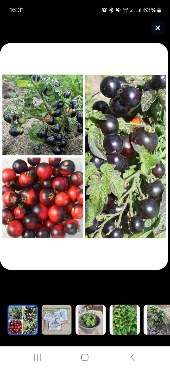 И вот такой