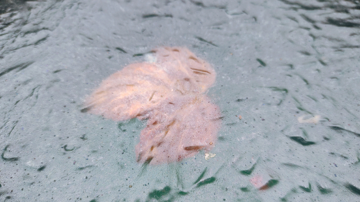 мороз был с ветром, поэтому замерзание прошло волнами 