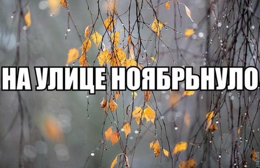 Фото из интернета.