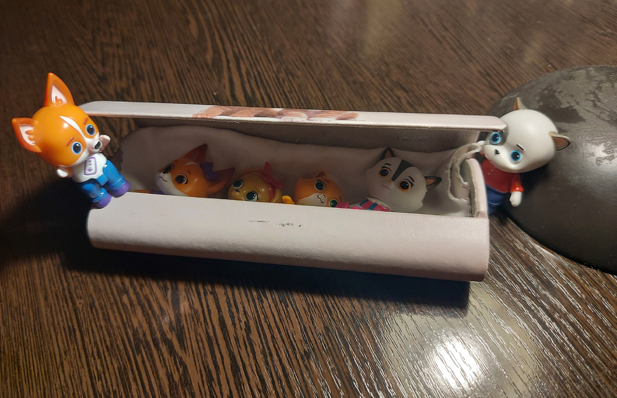 Кармашный отряд "Кошечки-собачки"