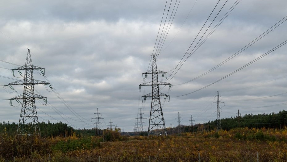    Автор фото: Тихонов Михаил