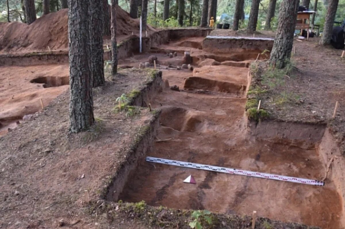    В Тверской области нашли древний могильник X–XIII веков