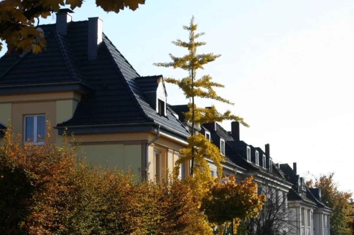    В Германии зафиксирован рост преступности с участием украинских беженцев