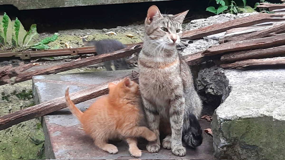 Фото автора