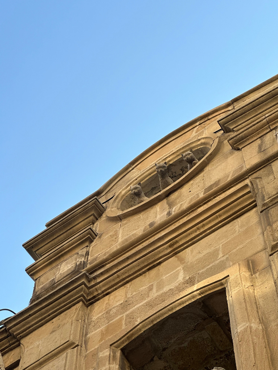 Если поднимать голову в стенах Ичеришехер, можно увидеть много интересного. Например, смотрящих на вас котиков!