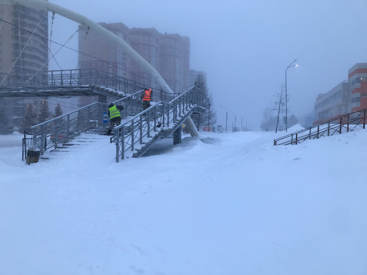 Утро начала ноября прошлого года, в Новосибирске.