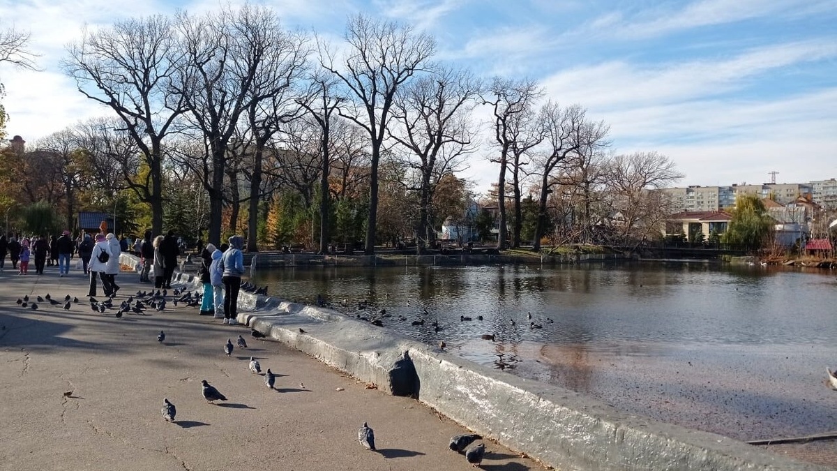    Экстренное обращение: Сурков предупредил о снегопаде и гололедеНовости Саратова и области – Сетевое издание «Репортер64»