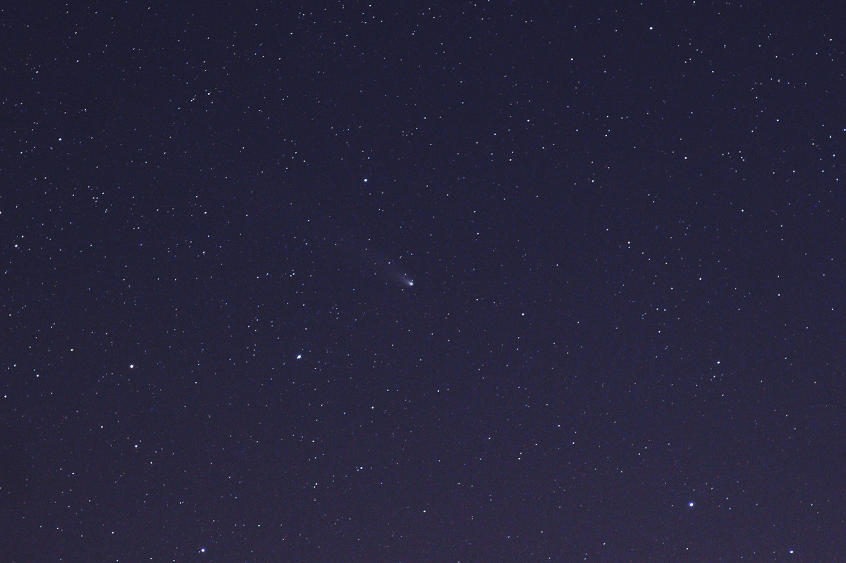 Комета C/2023 A3 вечером 31 октября 2024 года в Московской области, фото автора 