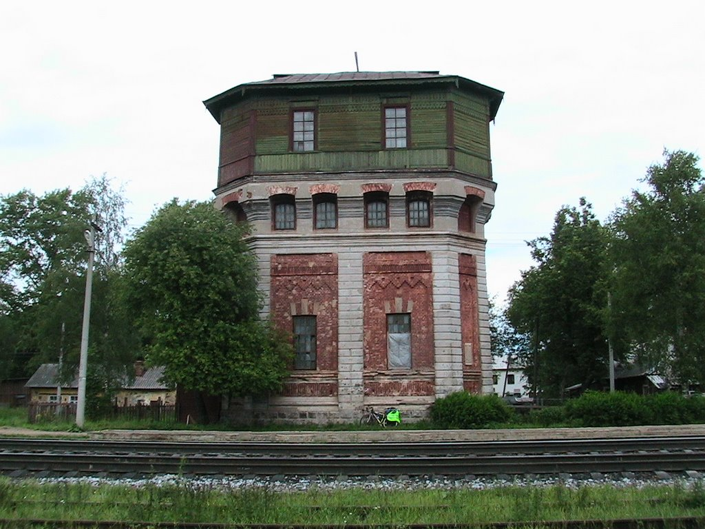 фото из интернета