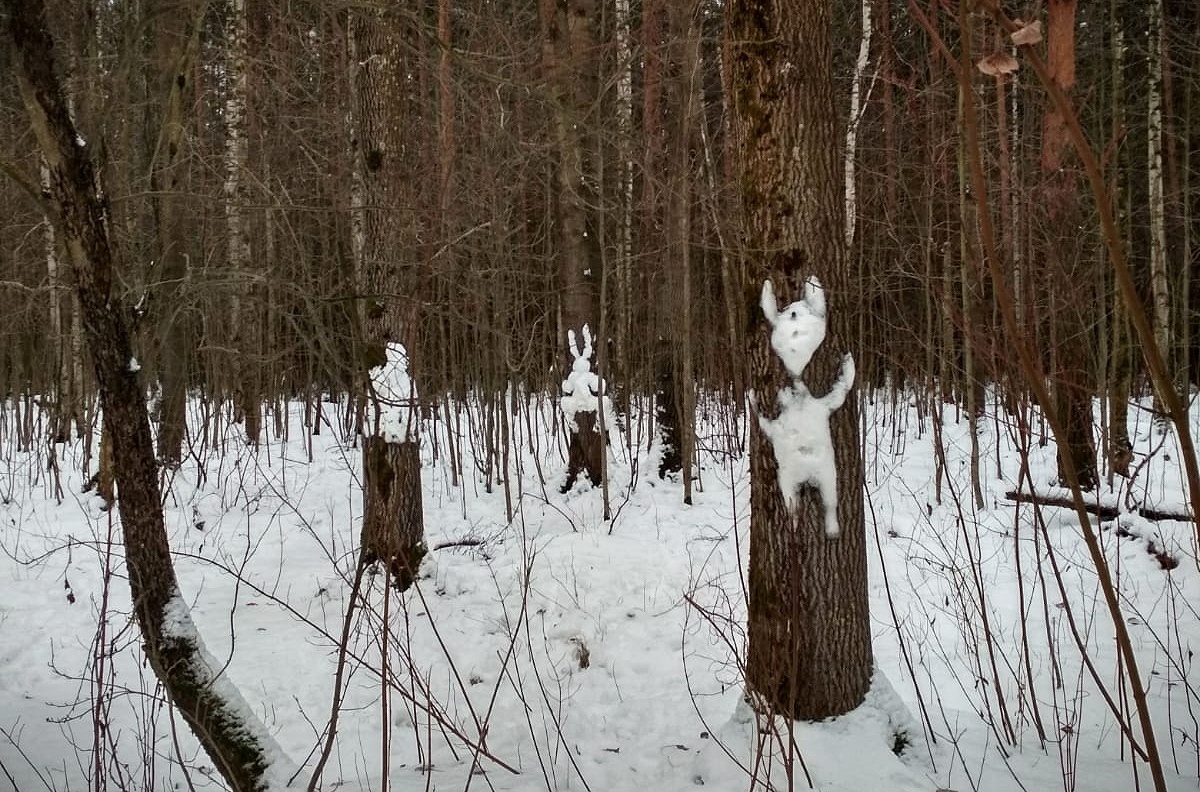 Там на неведомых дорожках, следы невиданных зверей (с) Фото автора)