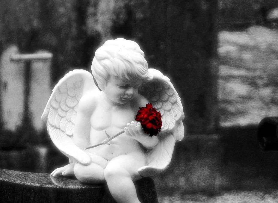 В чём оно, счастье земное - боги падшие и Ангелы?