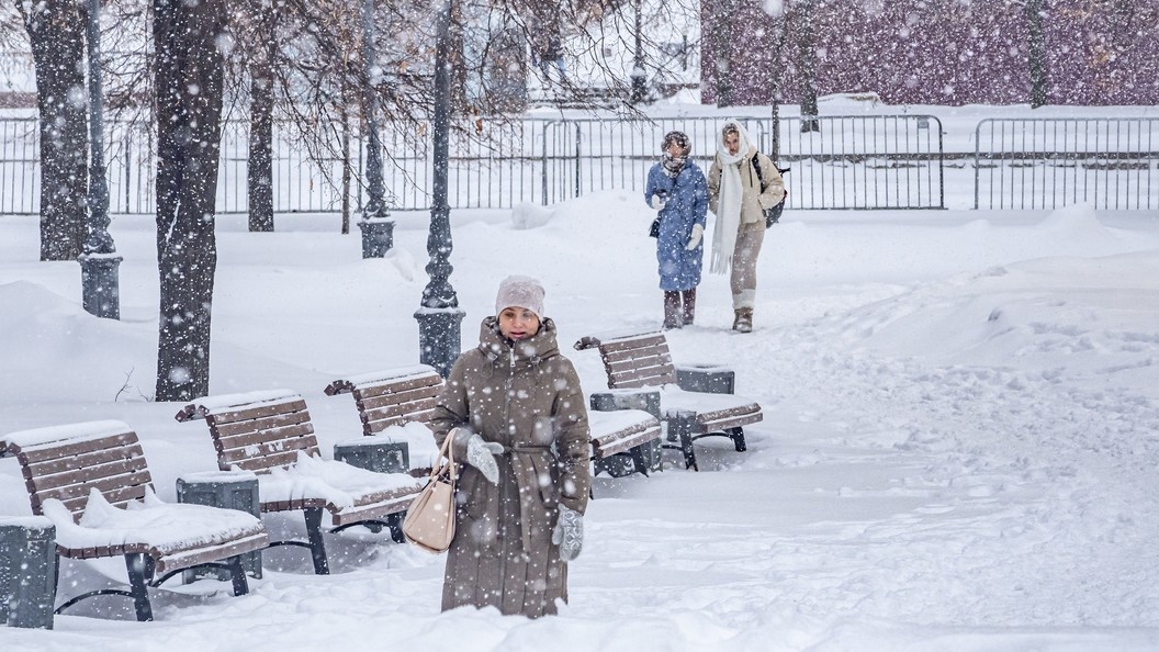    Фото: Константин Кокошкин/Globallookpress.