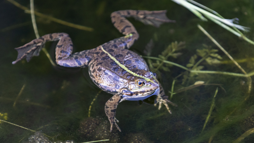    Aleksey Smyshlyaev/Globallookpress