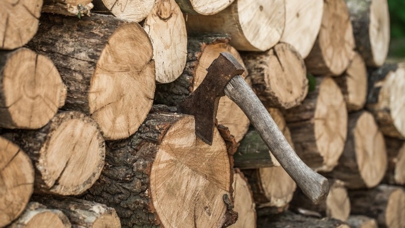 @pvproductions / freepik.com