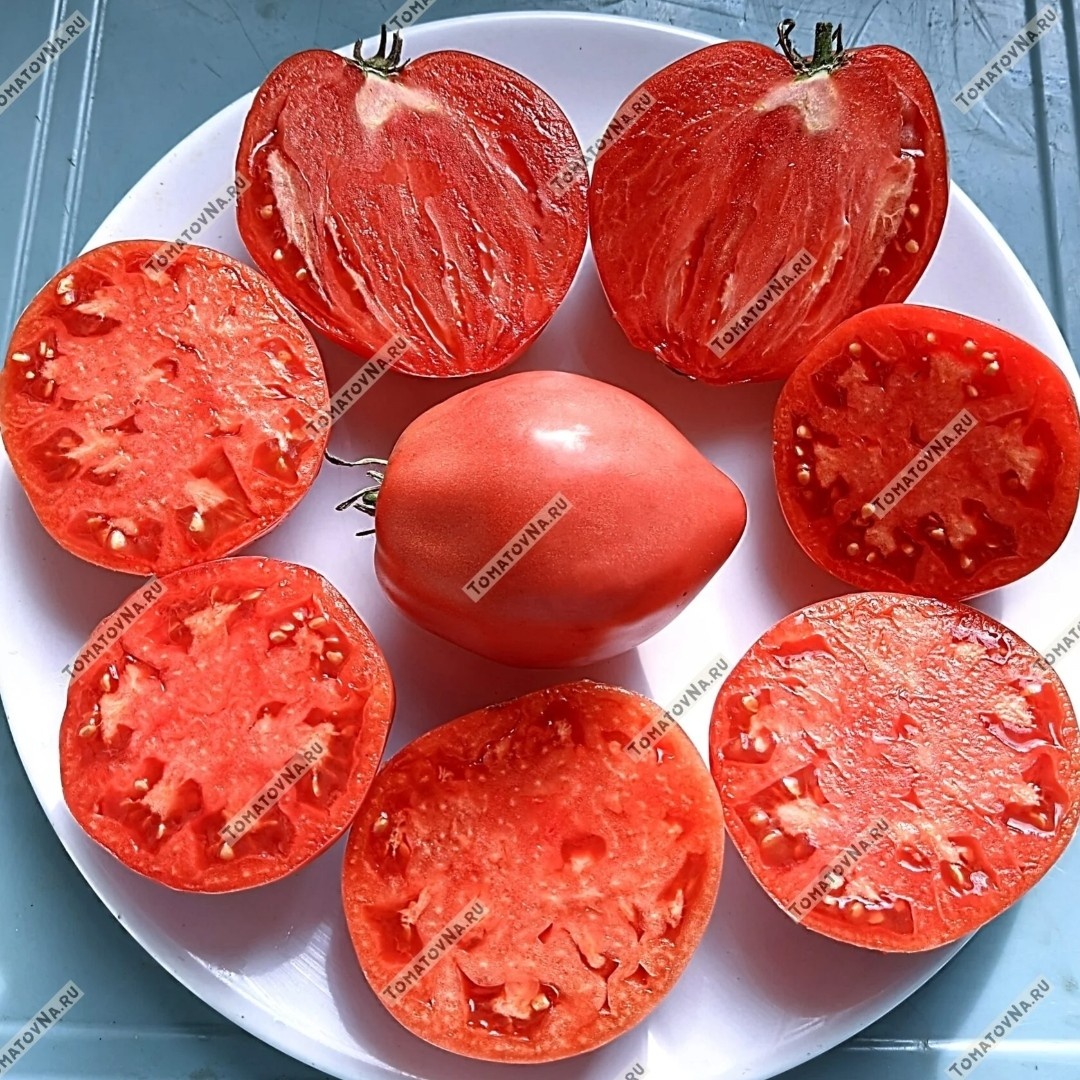 Тайные сокровища вечности. Фото из нашего каталога 