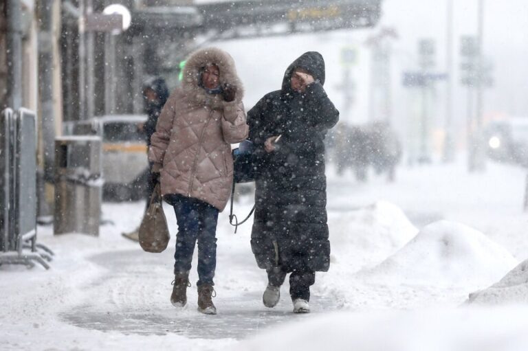    Фото: Агентство «Москва» Екатерина Шахнина