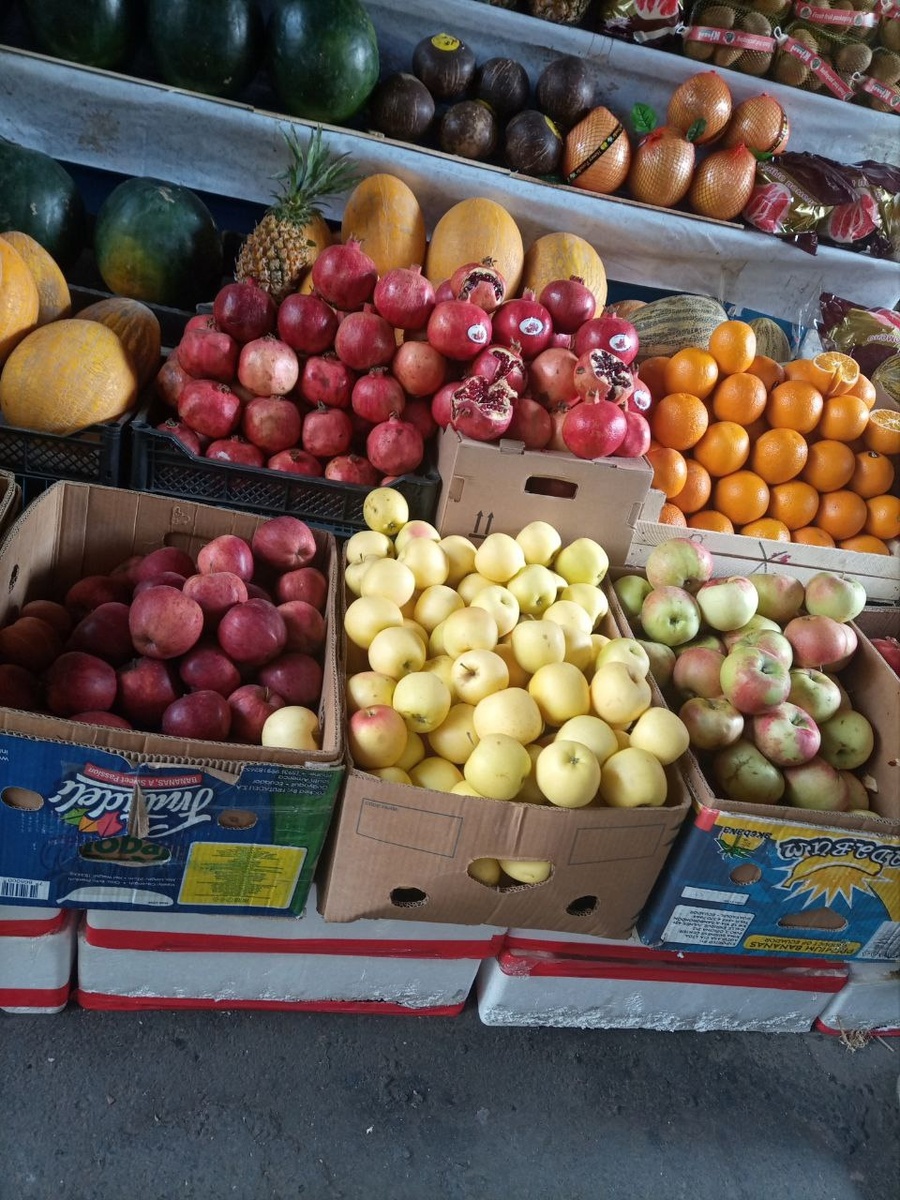 алматинские яблоки разных сортов