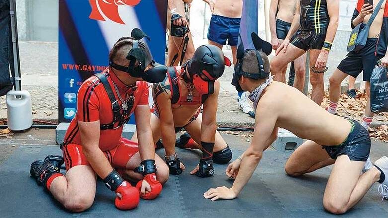    ТАСС: Среди субкультур для взрослых есть и те, что сочетают в себе элементы фетиша, БДСМ и игры в животных