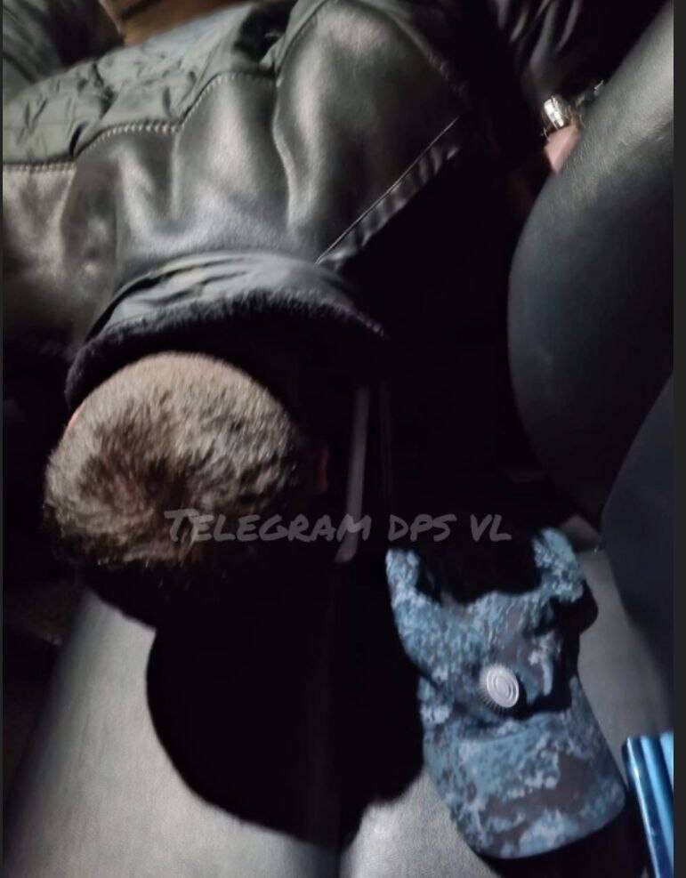    Источник фото: DPS VL