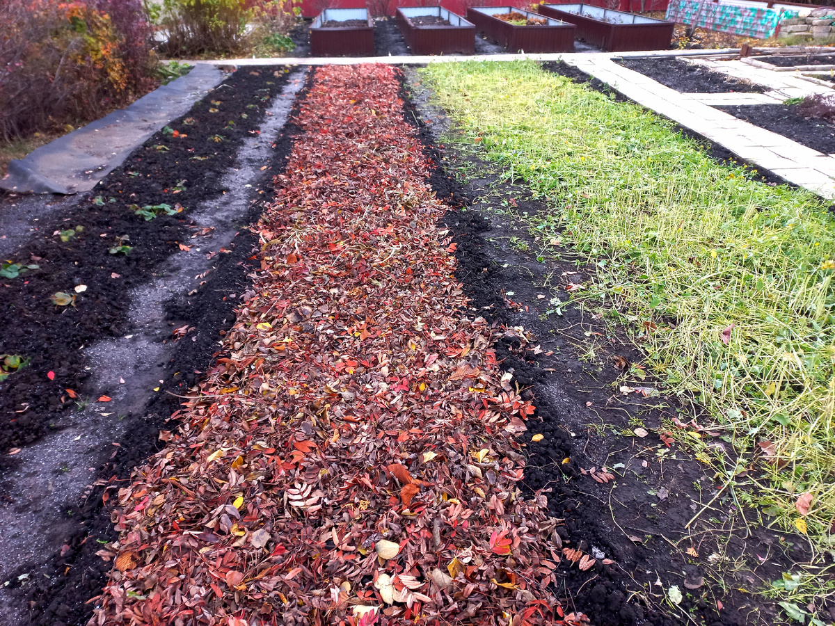 Под осенним одеялом